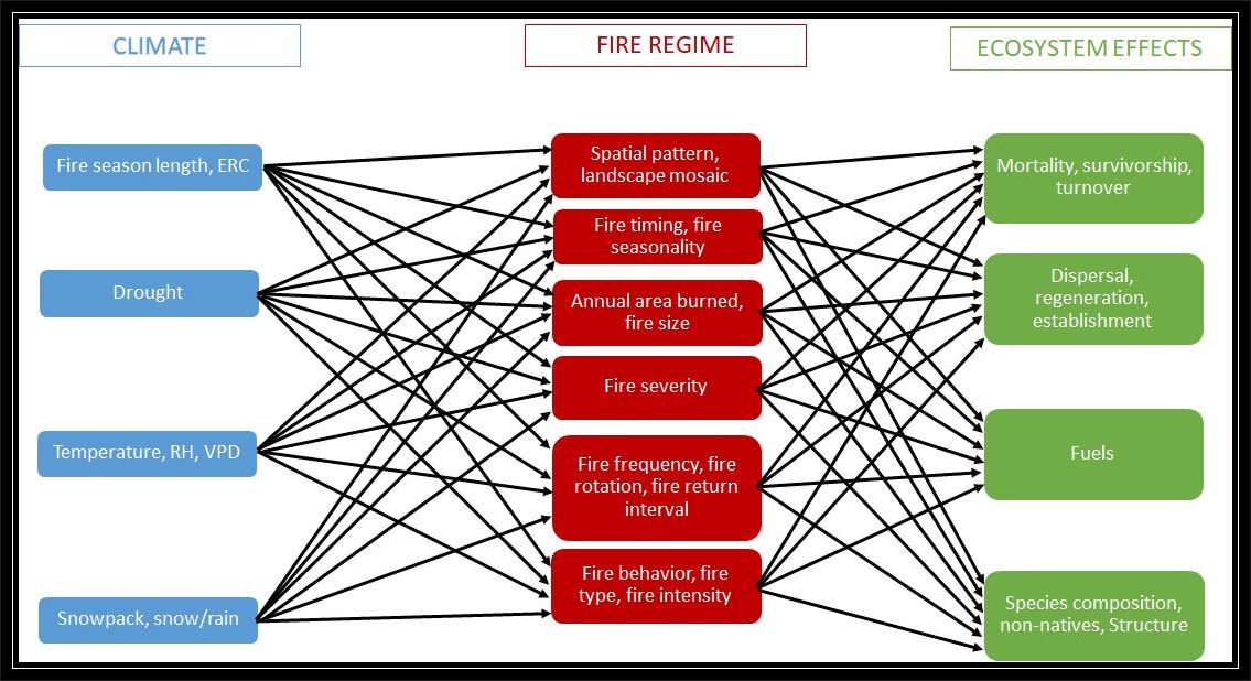 Southwest FireCLIME matrix diagram