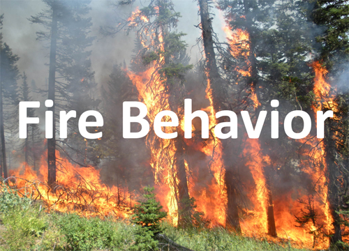 WOWfire Fire Behavior topic button graphic