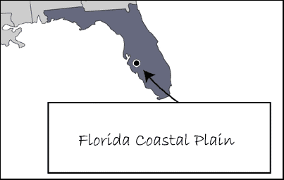 Fire and Fire Surrogates Study Florida Coastal Plain (Myakka River) Site Map thumbnail