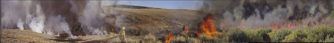 Great Basin Fire Portal