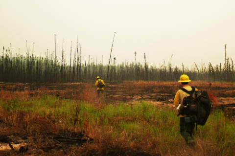 Firefighters at burnt site