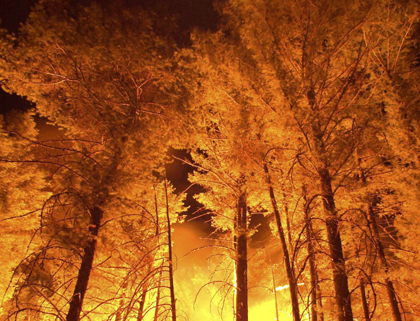 Karen Wattenmaker photo of a burning forest