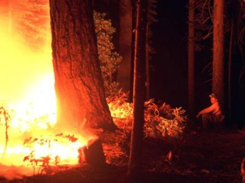 Scott Stephens observing one of the FFS burns at Blodgett forest (photo taken around midnight, October 22, 2002).